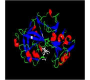 PROTEASE INHIBITOR COCKTAIL BROAD SPECTRUM (100X;  PI-1)